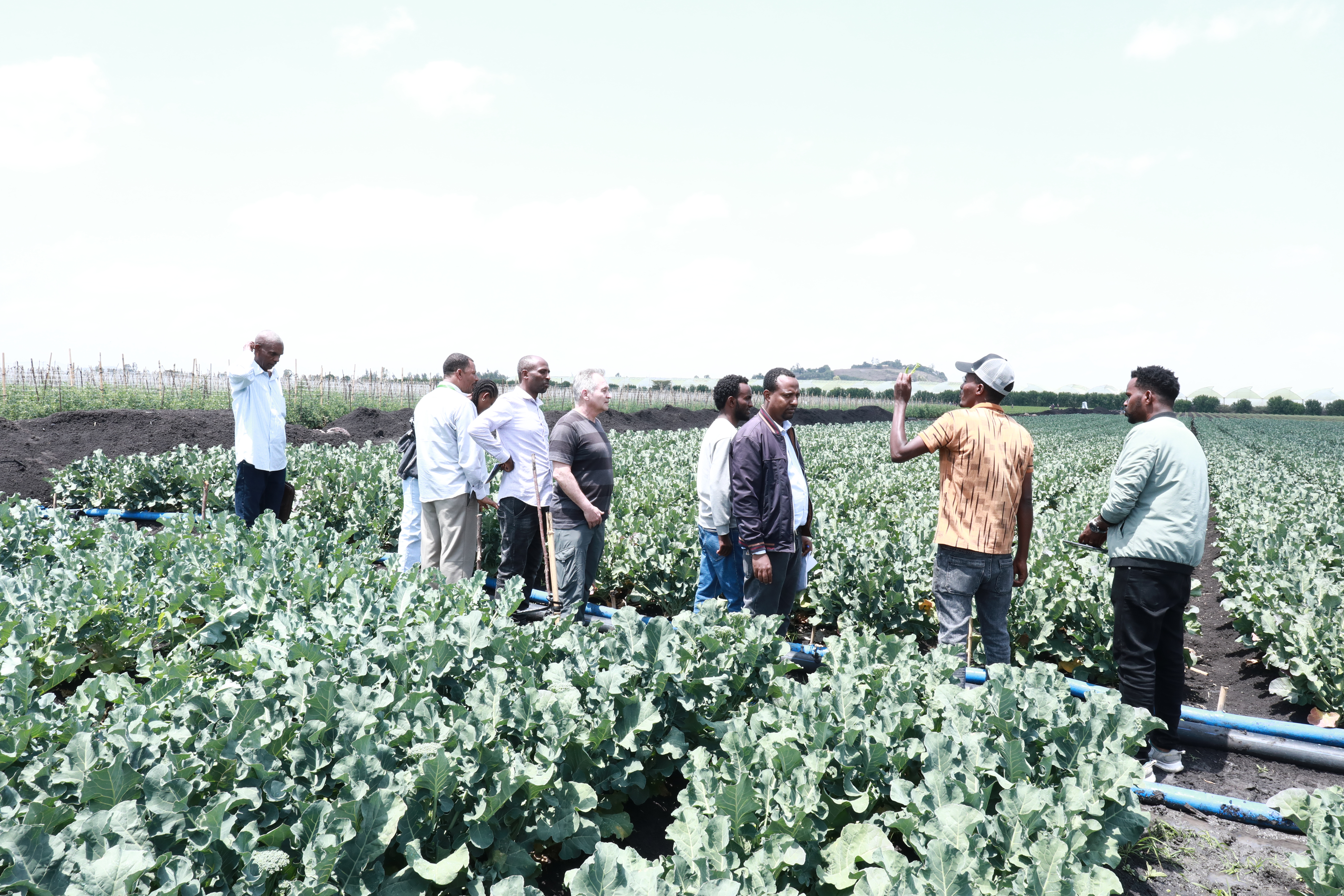 የግብርና ቆጠራ የመስክ ጉብኝት ተካሄደ 5 1t8a0331