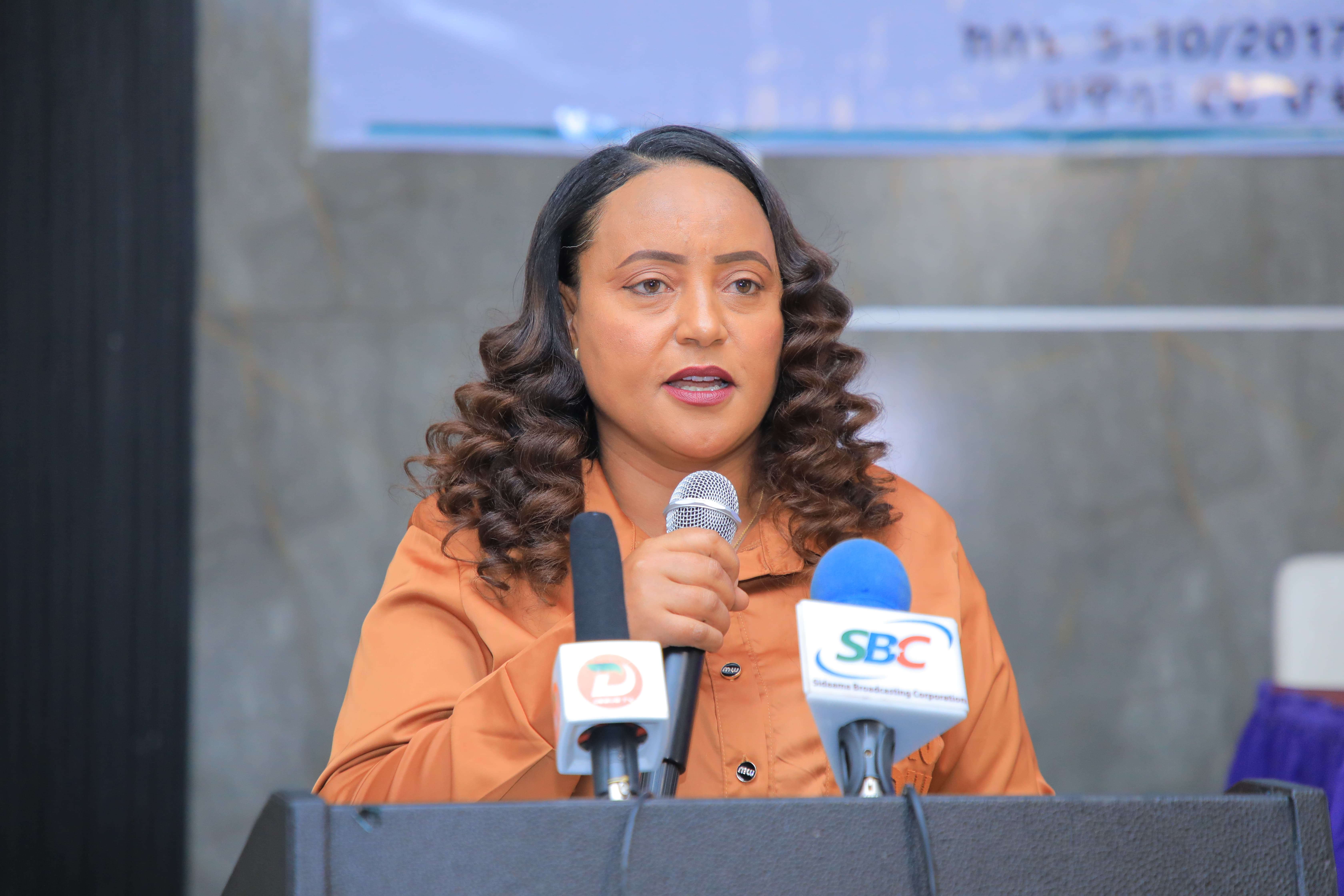 የአስተዳደራዊ መረጃ አሰባበብ፣ አያያዝና ትንተና ለማሻሻል የሚያግዝ የአቅም ግንባታ ስልጠና ተሰጠ 3 aa3a7639 004