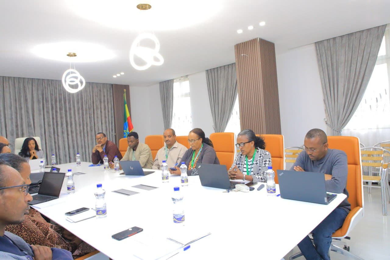 የስርዓተ ፆታና የአካል ጉዳተኞች ስታቲስቲክስ መመሪያ ዝግጅት ላይ ውይይት ተደረገ 3 photo 2 2025 07 18 11 22 19