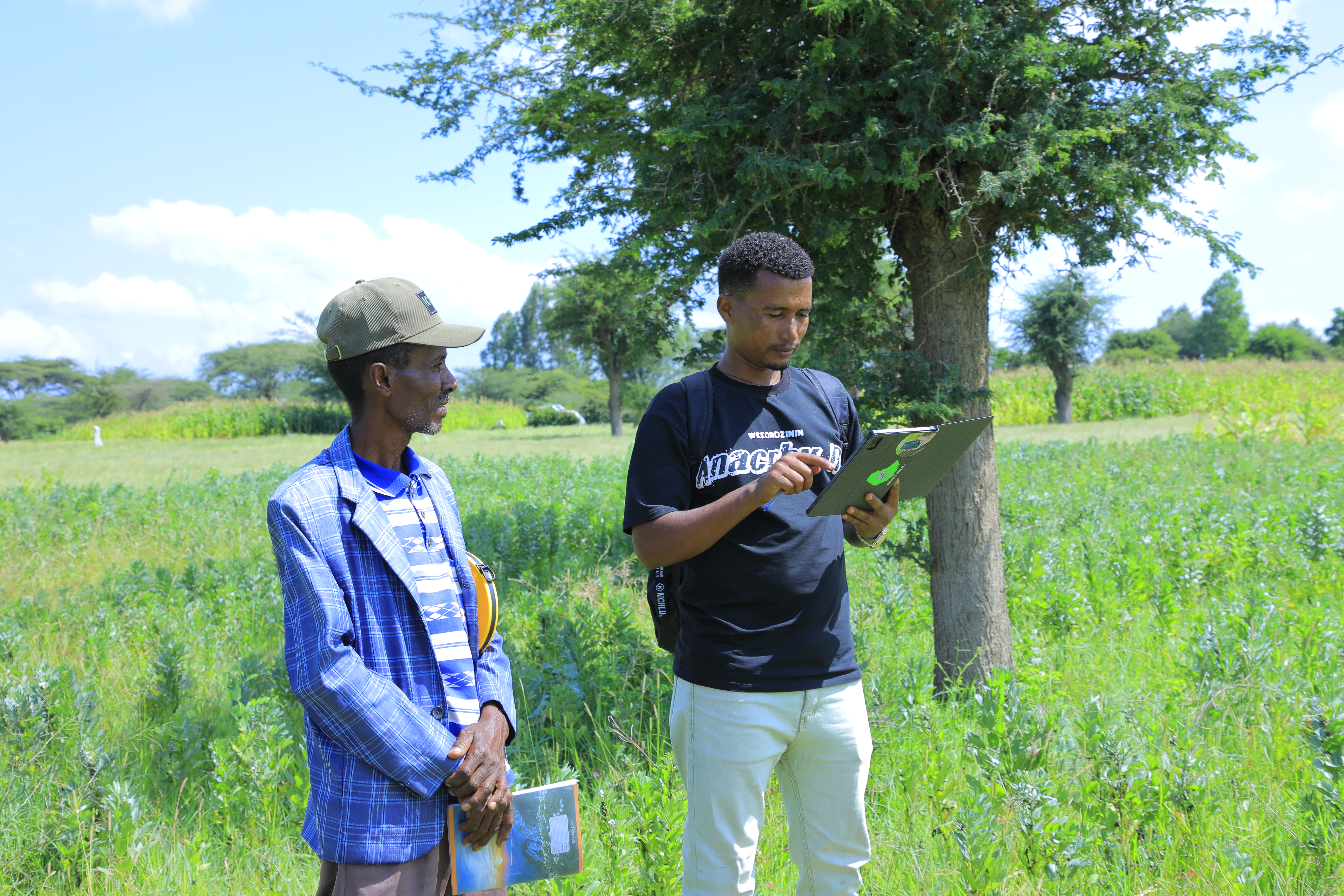 Annual Agricultural Survey Fieldwork Progressing Well Addis Ababa, September 25, 2026 4 a3a3510