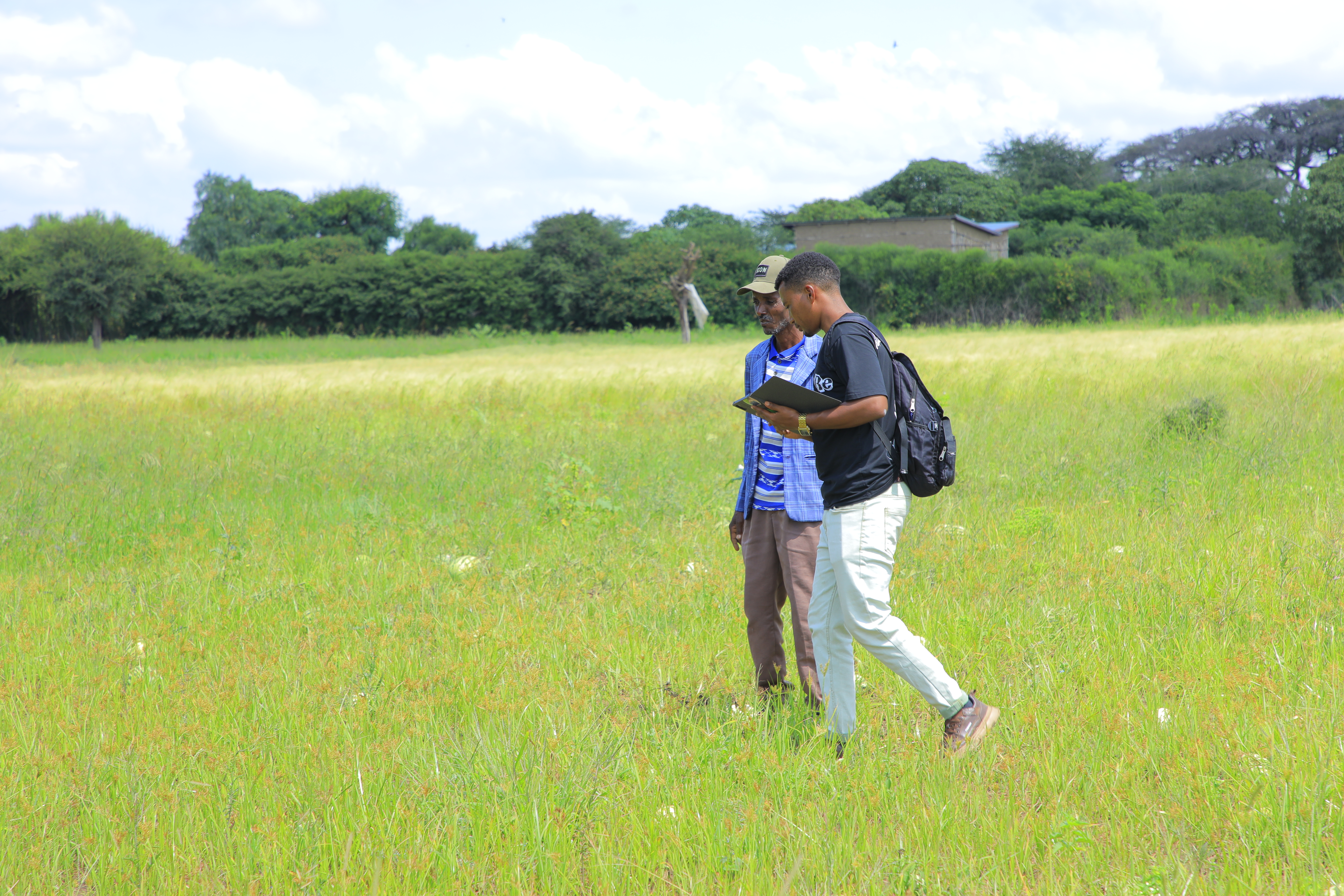 Annual Agricultural Survey Fieldwork Progressing Well Addis Ababa, September 25, 2026 2 a3a3578