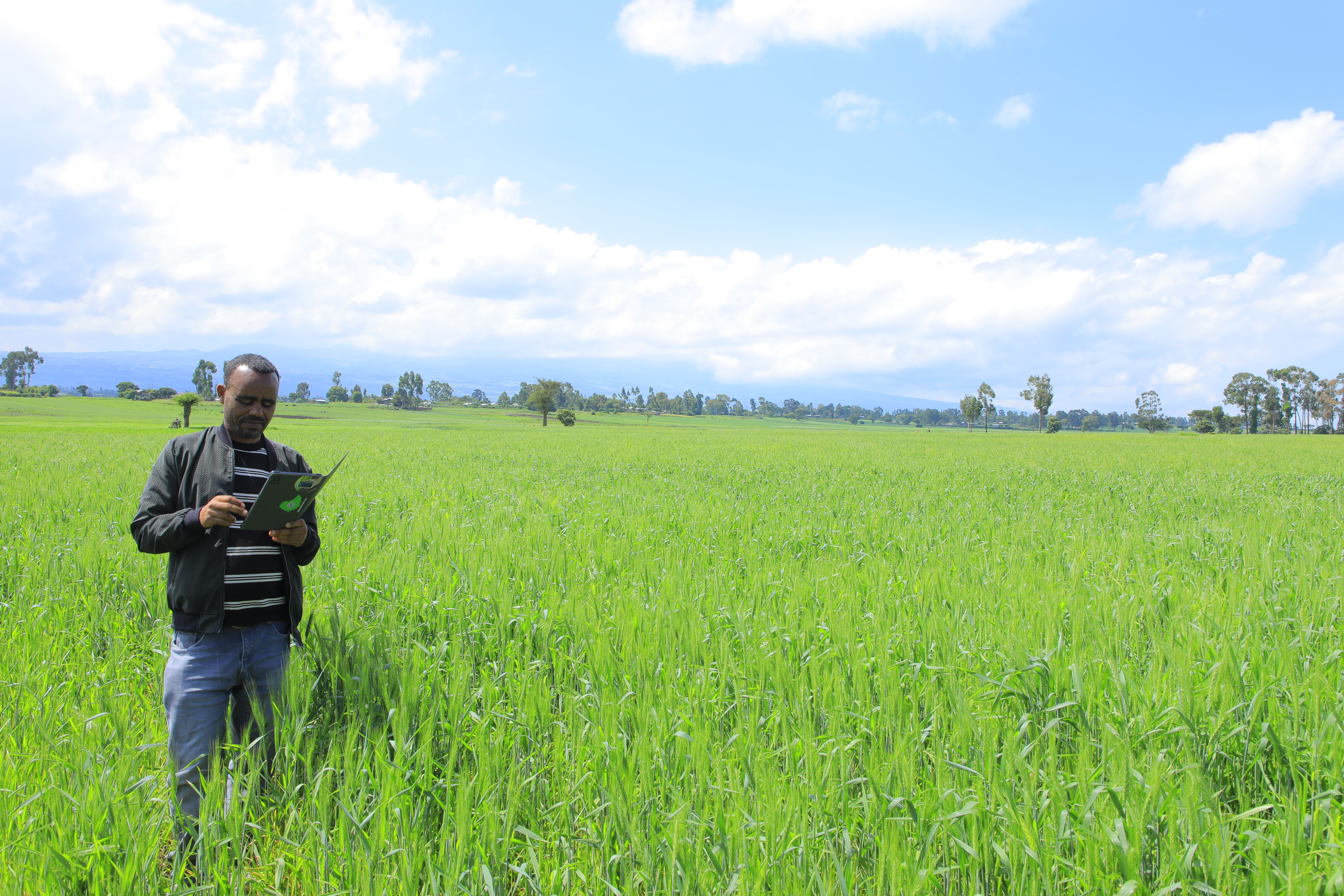 Annual Agricultural Survey Fieldwork Progressing Well Addis Ababa, September 25, 2026 1 a3a3854