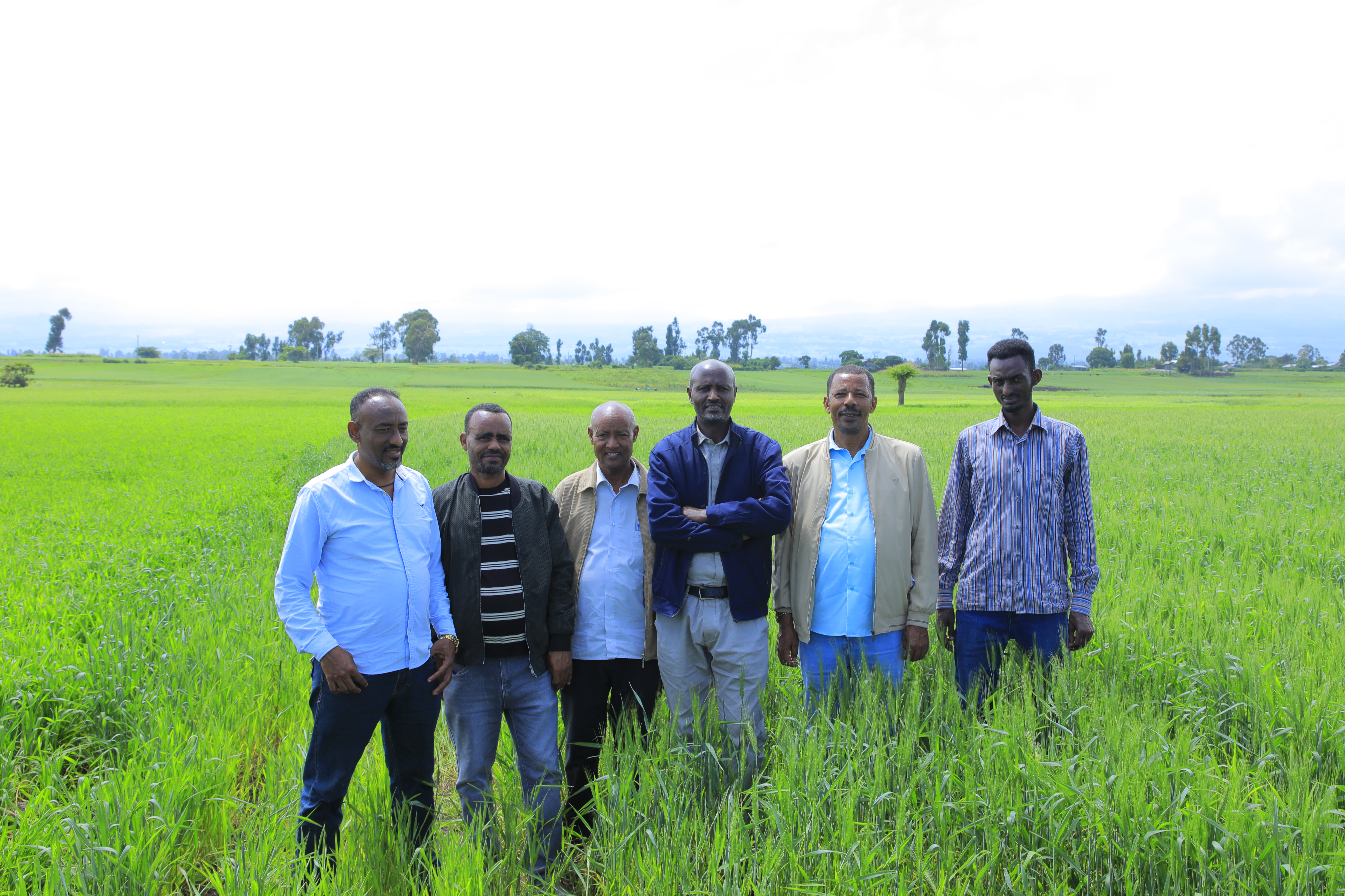 Annual Agricultural Survey Fieldwork Progressing Well Addis Ababa, September 25, 2026 7 a3a3873
